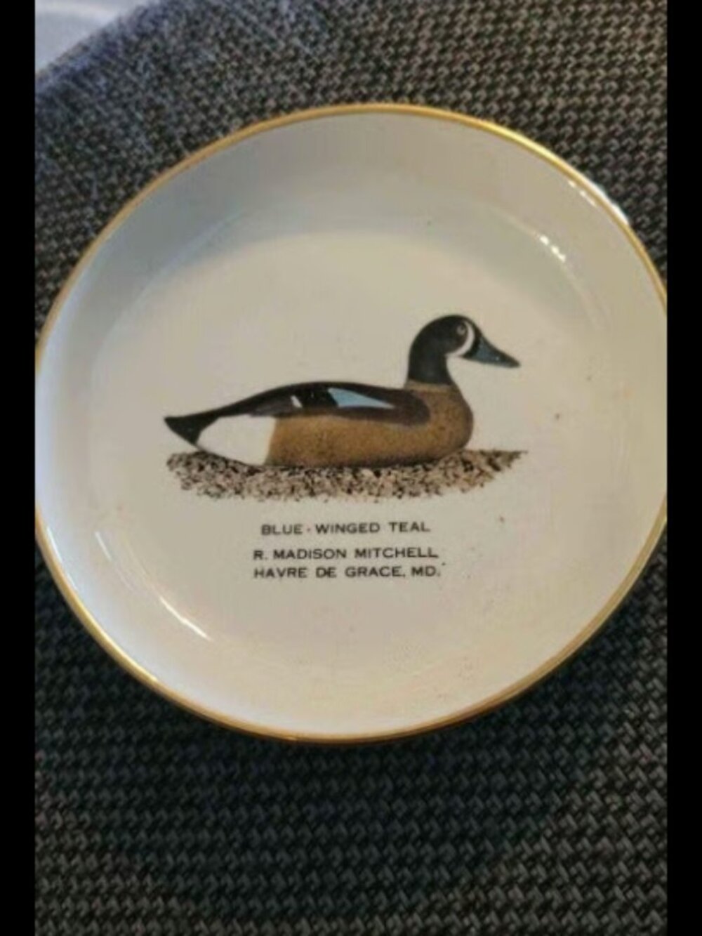 Blue winged teal small trinket tray